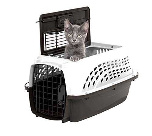 Petmate Two-Door Dog and Cat Kennel - Plastic Crate for Pets Up to 10 Pounds.